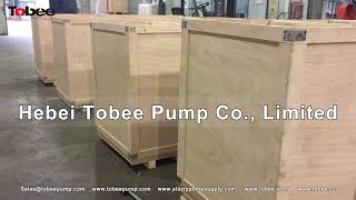 Tobee® TP100RV Vertical slurry pumps