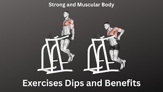 Exercises Dips and Benefits