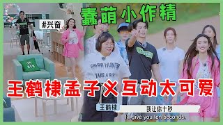 🌺王鹤棣孟子义互动太可爱~蠢萌小作精惹人爱，成全员团宠！【五十公里桃花坞 WonderlandS2】