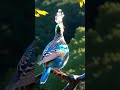 The Enchanted Aviary Exploring Birds of Mythical Beauty #aiart #nature #wildlife #wild #shorts #ai