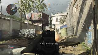 【CoD:MW】ARプラチナ迷彩出たのでガチハーポ