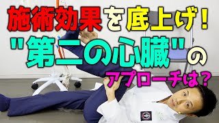 【解剖】施術効果を底上げする\