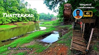 തട്ടേക്കാട് പക്ഷിസങ്കേതം | Thattekkad Bird Sanctuary | Idukki #travel #nature #vmv #forest #wildlife