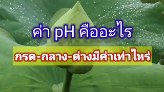 ค่า pH คืออะไร กรด-กลาง-ด่างมีค่าเท่าไหร่