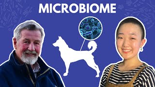 Ep. #11 | Gut Microbiome: How important is it? Feat. Dr. Ian Billinghurst - The Rawcast Podcast