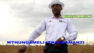 Mthungameli Ithandamanzi