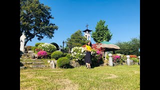 Catholic Church in South Korea