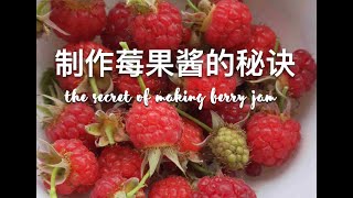 制作莓果酱的秘诀 The secret of making Berry Jam 制作大黄酱和各种莓果酱的妙招 不糊锅底 果香浓郁,