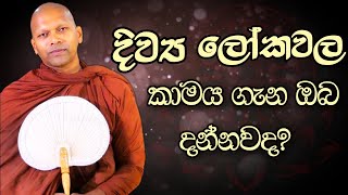 දිව්‍ය ලෝකවල කාමය ගැන ඔබ දන්නවද? | Niwathapa Thero | Niwana Soya #niwathapathero #trending #bana