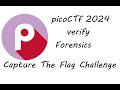 Verify | Forensics | picoCTF 2024