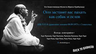 Шрила Прабхупада - Они заставят вас пахать как собак и ослов (ШБ 5.5.1-8 фрагмент лекции 08.09.197..