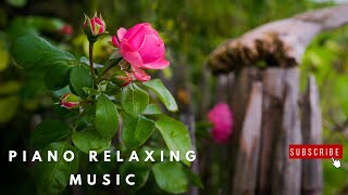 Highly relaxing  Beautiful PIANO and  NATURE  RELAXING MUSIC