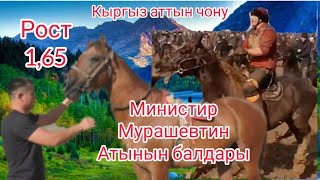 Санжыралуу САНЧО