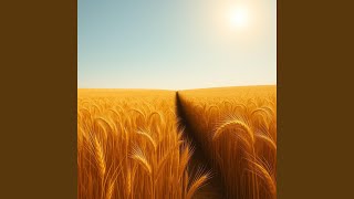 The Yield