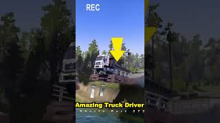 Amazing Truck Driver Part 272