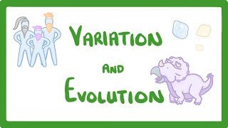 GCSE Biology - Variation and Evolution  #68