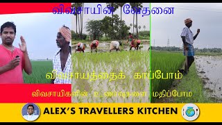 விவசாயத்தை காப்போம் | விவசாயின் உணர்வை  மதிப்போம் | HOW RICE IS MADE/ RICE PADDY FARMING SOUTH INDIA