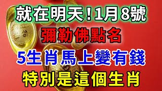 鐵定發財！1月8號！彌勒佛點名，這5大生肖有意外大財，馬上變有錢，特別是這個屬相，往後要財運亨通一輩子了！｜禪語佛音#生肖 #運勢 #風水 #財運#發財#命理