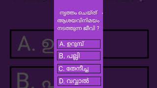 രസകരമായ ചോദ്യങ്ങൾ | #gk quiz| കൂടുതൽ ചോദ്യങ്ങൾക്കായി ചാനൽ സബ്സ്ക്രൈബ് ചെയ്യൂ.