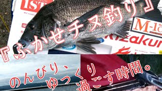 【チヌ釣り】[2020年]夏、今年最初のチヌ釣り！！漁港で…のんびりとした良い時間 ステーキ焼いて、釣りやって❗️