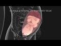 Normal Vaginal Childbirth and birth Canal