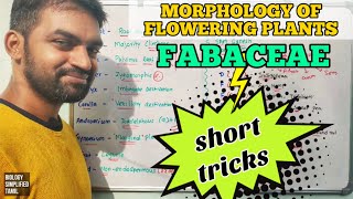 Fabaceae short tricks | Fabaceae - Important points | Senthilnathan