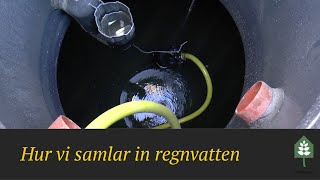 Hur vi samlar in regnvatten - Grohuset