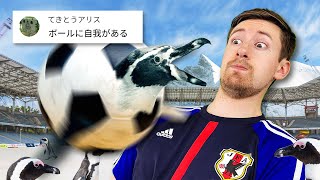 【大喜利】ロナウドも驚く！サッカーの新ルールを作ろう ［ワールドカップ編］