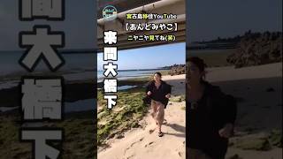 【あんどみやこ】#宮古島移住 #宮古島観光 #宮古島グルメ #宮古島youtube #宮古島 #宮古ブルー #年の差夫婦 #宮古島最新 #宮古島旅行