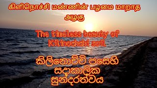 கிளிநொச்சி அழகு The timeless beauty of Kilinochchi soil කිලිනොච්චි පසෙහි සදාකාලික සුන්දරත්වය