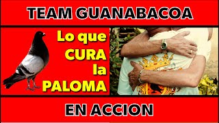 Team GUANABACOA en Acción