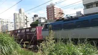 JR貨物・EF66-100番台貨物列車（Japan Freight Railway）