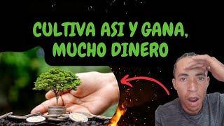 🍀La Importancia de Tener Variedad de Cultivo | 🤑(MAS INGRESOS)💵