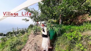 क्या हम सब इनका संघर्ष देखते हैं!! #housewife #women_respect_video #villagelife