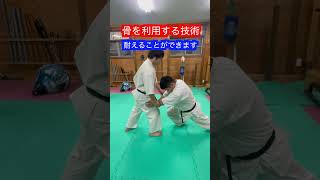 【武道】骨を使うと技が変わる！！#aikido ＃karate #martial #合気道 #武道 #空手