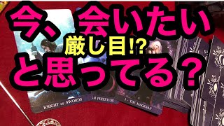 【タロット占い】厳しめ⁉『お相手は、「今、会いたい？」と思っていますか？』😳衝撃❢コラボ😱❣カード差し替え忖度上げ鑑定なし　#ガチンコ　#本音　#気持ち　😳264回