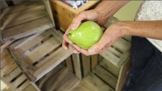 How Do I Ripen Pears?