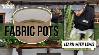 Why Grassroots Fabric Pots Are the Best for Urban and Organic Gardening | Learn With Lewis