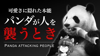 【ゆっくり解説】実は恐ろしいパンダの獣害｜人間を襲った「グーグー」の悲劇