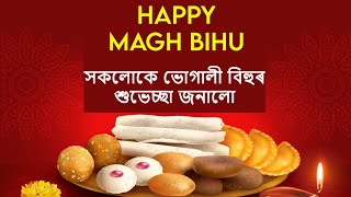 সোণোৱাল গাঁৱত মাঘ বিহু, এক অতুলনীয় দৃশ্য আৰু এটা সুন্দৰ ভেলাঘৰ // Sunuwal Goan-2023 //