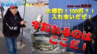 【北海道　釣り】　今はこの場所だぞ！　大爆釣！　入れ食いだよ！