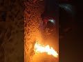 Berkemah di pantai ngrumput(malam hari)bakar api unggun seruuuu