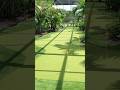 Would your Insane Pool include a putting green? #puttinggreen #backyard #golf #insanepools 