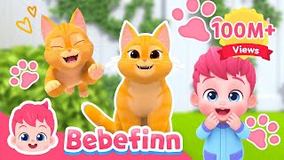EP73 | The Cat Song 😻 I'm A Ginger Cat Boo! Meow | Bebefinn Sing Along2 | Nursery Rhymes For Kids
