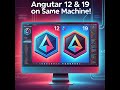 How to Install and Run Two Version Angular 12 & 19 etc on the Same Machine!