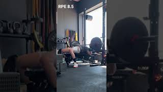 230 lb Bench Press Single