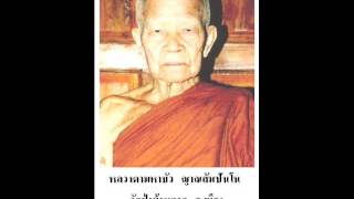 หลวงตามหาบัว-สายทางของวัฏวน