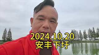 简单养殖中国行之安丰下圩 老陈从投苗开始草就没种好周围的人都认为这个螃蟹塘废了现在己回本塘里里还有很多货具体产量看 卖完中途我还跟老陈 对赌一亩他挣不到5000，我补给他多的就是我的，现