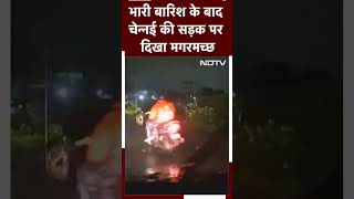 Chennai Rain | भारी बारिश के बाद चेन्नई की सड़क पर दिखा मगरमच्छ