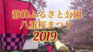 静峰ふるさと公園八重桜まつり2019